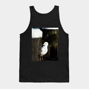 Coy Gull Tank Top